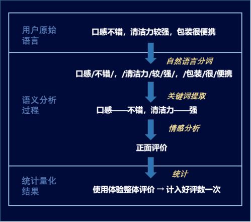 基于語義分析的電商數據處理服務 技術驅動產品服務優化